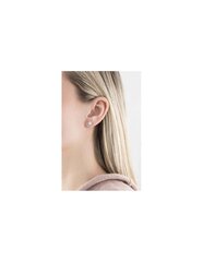 Kõrvarõngad naistele Fossil JF00828040 SFO0671 hind ja info | Kõrvarõngad | hansapost.ee