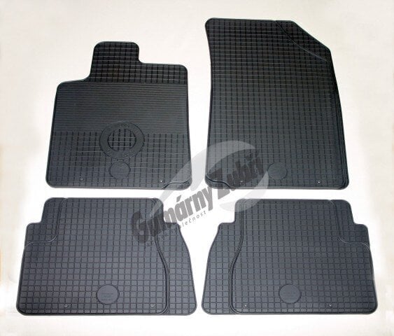 Matid CITROEN C3 2002-2009 4 pcs. /213550 цена и информация | Kummimatid | hansapost.ee