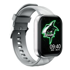 Black Shark BS-GT Neo Silver цена и информация | Смарт-часы | hansapost.ee