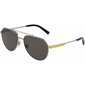 Meeste päikeseprillid Dolce & Gabbana DG 2288 S7266675 цена и информация | Päikseprillid meestele | hansapost.ee