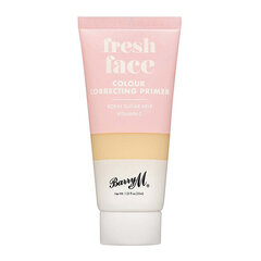 Meigipõhi Fresh Face Colour Correcting Primer Barry M Green, 35 ml цена и информация | Barry M Духи, косметика | hansapost.ee
