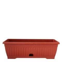 Rõdu lillepeenar Terra 50x19cm hind ja info | Lillepotid | hansapost.ee