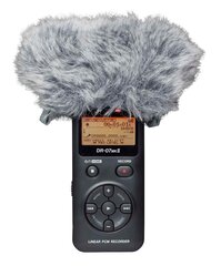 Tascam WS - 11 цена и информация | Принадлежности для музыкальных инструментов | hansapost.ee