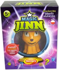 Интерактивная игрушка Dumel Discovery Magic Jinn цена и информация | Игрушки для мальчиков | hansapost.ee