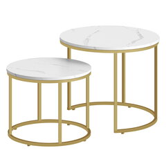 Набор из 2-х кофейных столиков Leobert, белый/золотой цена и информация | Журнальные столики | hansapost.ee