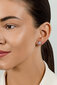 Hõbedased kõrvarõngad naistele Brilio Silver EA704WP sBS2903 hind ja info | Kõrvarõngad | hansapost.ee
