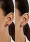 Hõbedased kõrvarõngad naistele Brilio Silver EA704WP sBS2903 hind ja info | Kõrvarõngad | hansapost.ee