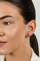 Hõbedased kõrvarõngad naistele Brilio Silver EA710WR sBS2911 цена и информация | Серьги | hansapost.ee