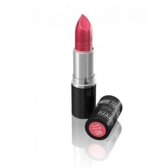 Huulepulk Lavera Natural lipstick 21, 4.5 g hind ja info | Huulekosmeetika | hansapost.ee