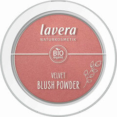 Põsepuna Lavera Velvet Blush Powder 03, 5 g hind ja info | Päikesepuudrid ja põsepunad | hansapost.ee