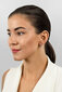Hõbedased kõrvarõngad naistele Brilio Silver EA678W sBS2539 цена и информация | Kõrvarõngad | hansapost.ee