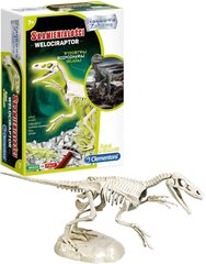 Dinosauruste fossiil Velociraptor Clementoni цена и информация | Игрушки для мальчиков | hansapost.ee