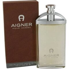 Туалетная вода Aigner Parfums pour Homme EDT, 100 мл цена и информация | Мужские духи | hansapost.ee