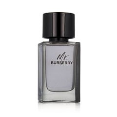 Tualettvesi Burberry Mr. Burberry EDT M 100 ml price and information | Parfüümid meestele | hansapost.ee