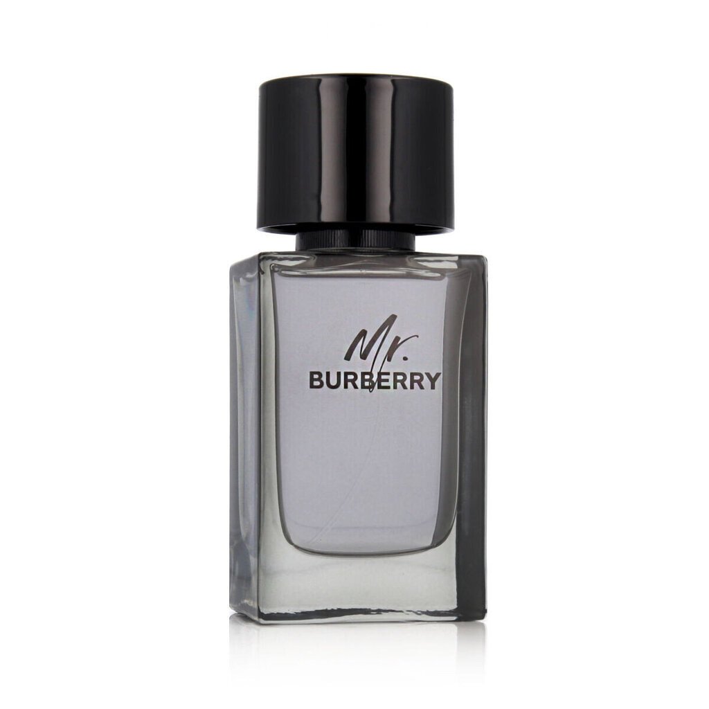 Tualettvesi Burberry Mr. Burberry EDT M 100 ml hind ja info | Parfüümid meestele | hansapost.ee