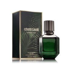 Roberto Cavalli Paradise Found Eau de Toilette для мужчин 50 мл цена и информация | Мужские духи | hansapost.ee