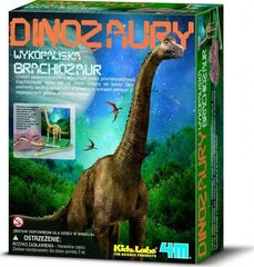 Õppekomplekt Excavations Brachiosaurus 4M, 5903794100596 hind ja info | Arendavad laste mänguasjad | hansapost.ee