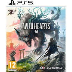 Wild Hearts, PlayStation 5 (Pre-order) цена и информация | Компьютерные игры | hansapost.ee