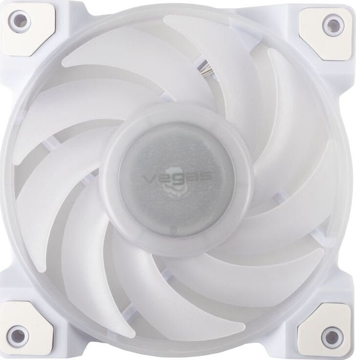 Akasa Vegas A12 RGB AK-FN111-WH цена и информация | Arvuti ventilaatorid | hansapost.ee