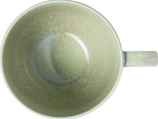 Villeroy &amp; Boch чашка для кофе, 0,27 л цена и информация | Стаканы, фужеры, кувшины | hansapost.ee