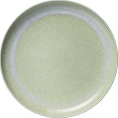 Villeroy &amp; Boch тарелка, 27 см цена и информация | Посуда, тарелки, обеденные сервизы | hansapost.ee
