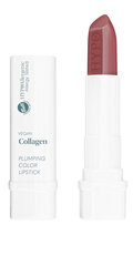 Huulepulk Hypoallergenic Vegan Collagen Plumping Color Lipstick 01 Choco, 8g hind ja info | Huulekosmeetika | hansapost.ee