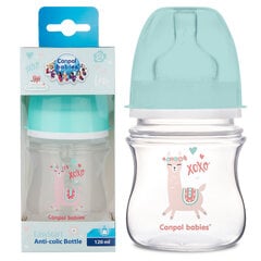 Lutipudel Canpol Babies Easy Start Anti-colic 120ml, 0m+ Exotic Animals hind ja info | Lutipudelid ja tarvikud | hansapost.ee