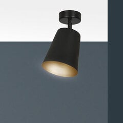 Потолочная лампа Emibig PRISM 1 BLACK цена и информация | Потолочные светильники | hansapost.ee
