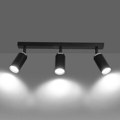 Emibig светильник Hera 3 цена и информация | Потолочные светильники | hansapost.ee
