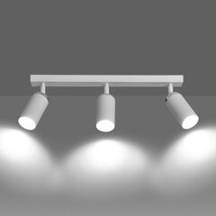 Emibig светильник Hera 3 цена и информация | Потолочные светильники | hansapost.ee