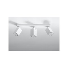 SOLLUX потолочный светильник Merida 3 White цена и информация | Потолочные светильники | hansapost.ee