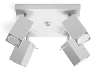 SOLLUX потолочный светильник Merida 4 White цена и информация | Потолочные светильники | hansapost.ee