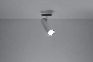 Sollux светильник Direzione 1, black цена и информация | Потолочные светильники | hansapost.ee