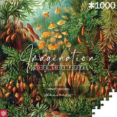 Пазл с растениями Imagination Ernst Haeckel Muscinae, 1000 д. цена и информация | Пазлы | hansapost.ee