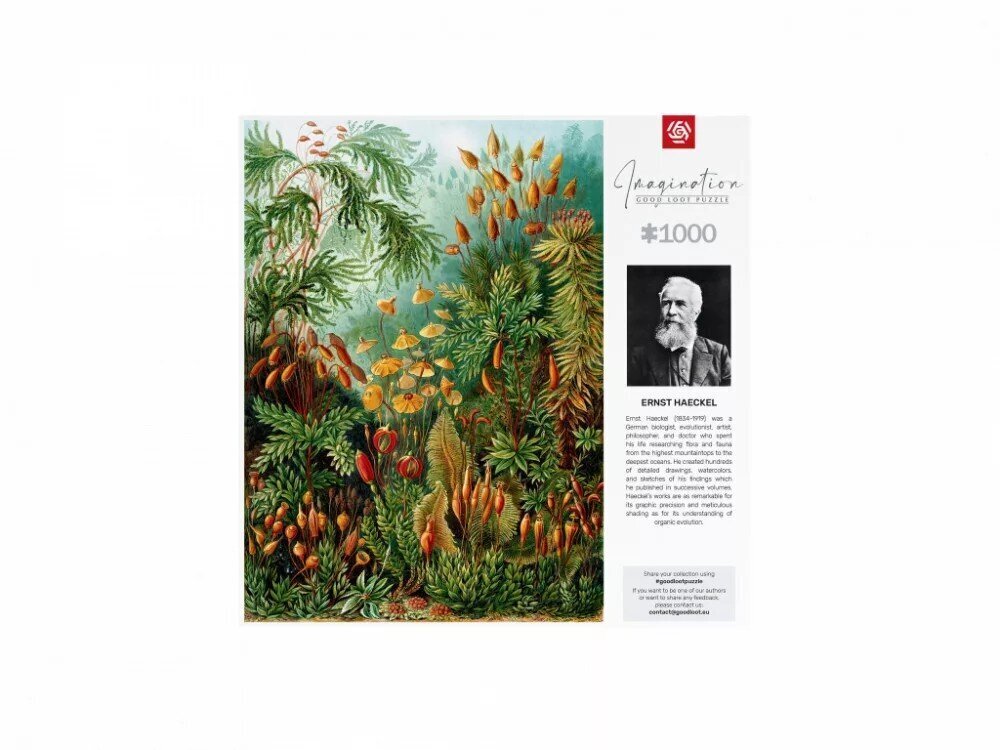 Taimedega pusle Kujutlusvõime Ernst Haeckel Muscinae, 1000 tk цена и информация | Pusled lastele ja täiskasvanutele | hansapost.ee
