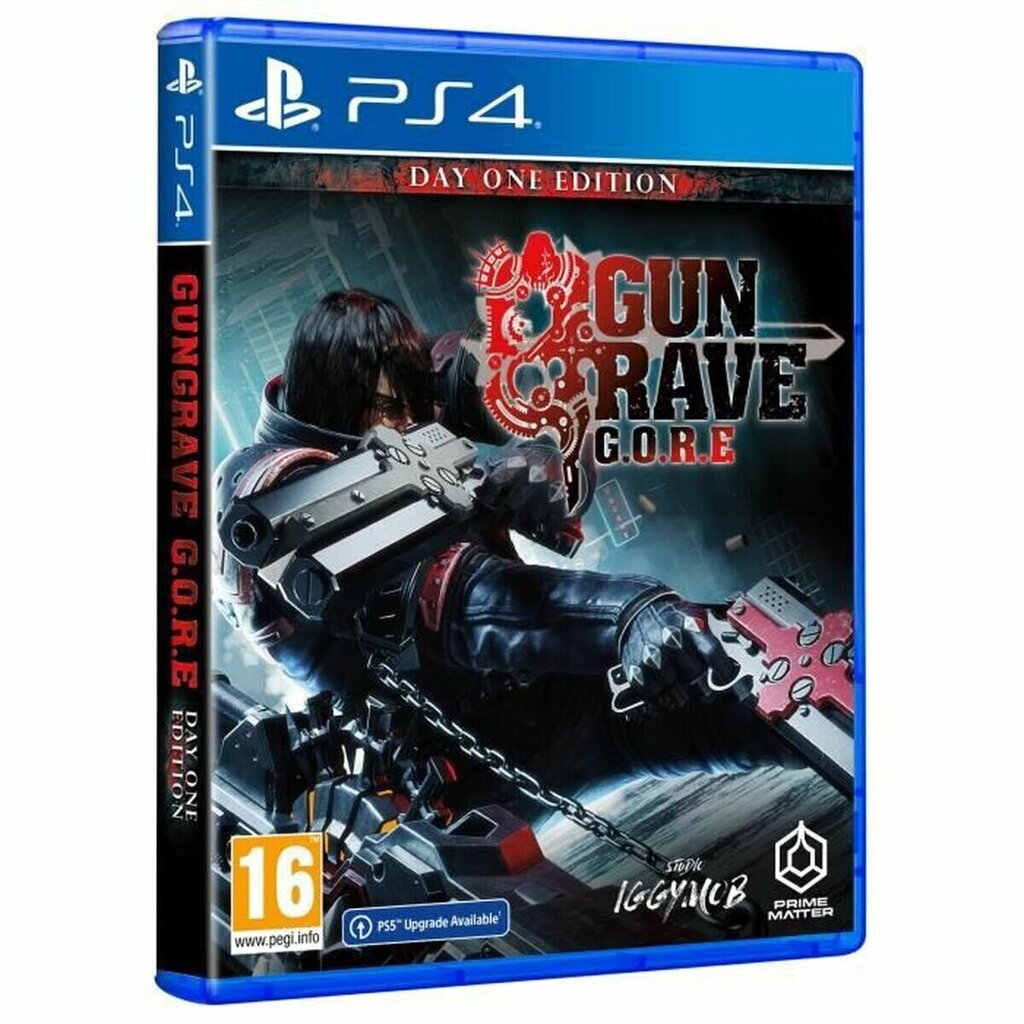 PlayStation 4 videomäng KOCH MEDIA Gun Grave Gore hind ja info | Konsooli- ja arvutimängud | hansapost.ee