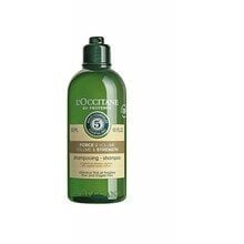 Šampoon L'occitane Champu Fuerza y Volumen 300 ml price and information | Näokreemid | hansapost.ee