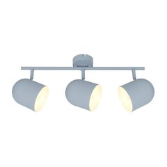Осветитель Candellux Azuro цена и информация | Потолочные светильники | hansapost.ee
