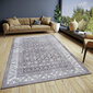 Hanse Home vaip Catania 120x180 cm hind ja info | Vaibad | hansapost.ee