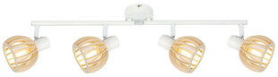 Candellux потолочный светильник Atarri цена и информация | Потолочные светильники | hansapost.ee
