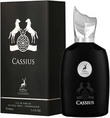 Meeste parfüümvesi Alhambra Cassius EDP, 100 ml hind ja info | Parfüümid meestele | hansapost.ee