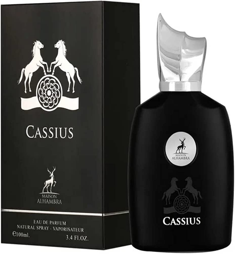 Meeste parfüümvesi Alhambra Cassius EDP, 100 ml цена и информация | Parfüümid meestele | hansapost.ee