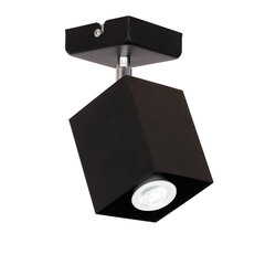 Luminex потолочный светильник Jorik цена и информация | Потолочные светильники | hansapost.ee