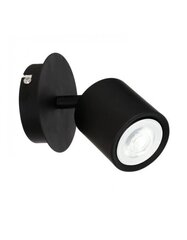 Luminex потолочный светильник Demia цена и информация | Потолочные светильники | hansapost.ee