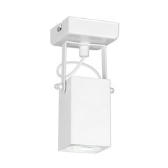 Luminex потолочный светильник Arm цена и информация | Потолочные светильники | hansapost.ee