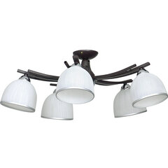 Luminex потолочный светильник Avia цена и информация | Потолочные светильники | hansapost.ee