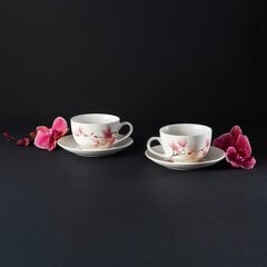 Ambition kohviserviis Magnolia, 12-osaline hind ja info | Klaasid, kruusid ja kannud | hansapost.ee