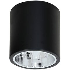 Luminex потолочный светильник Downlight Round цена и информация | Потолочные светильники | hansapost.ee