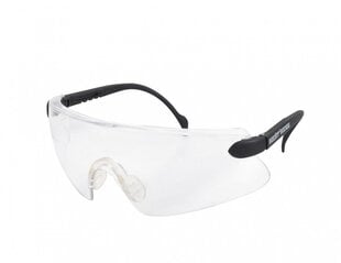 Защитные очки Hecht 900106 цена и информация | Защита для лица и головы | hansapost.ee