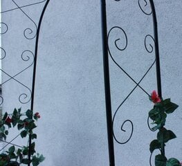 Металлическая арка для растений Garden Line, 110x39x230 см цена и информация | Подставки для цветов, держатели для вазонов | hansapost.ee